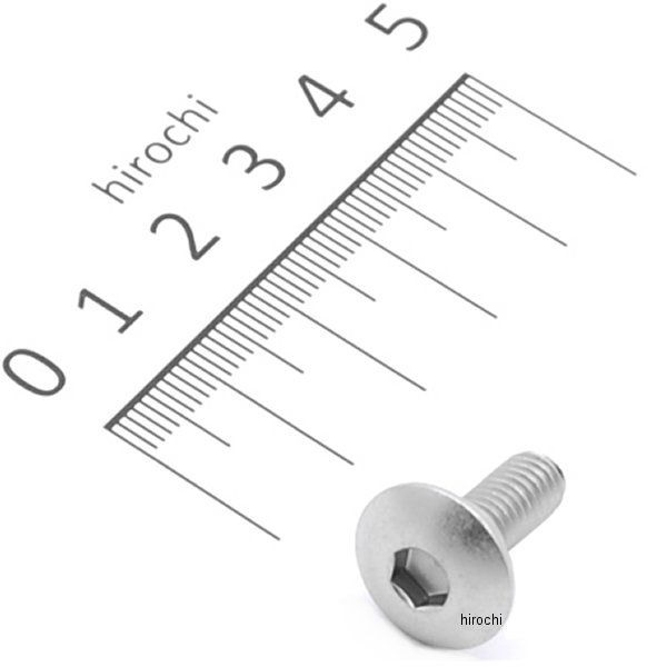 スクリュースペシャル 6mm 90106-KCZ-000