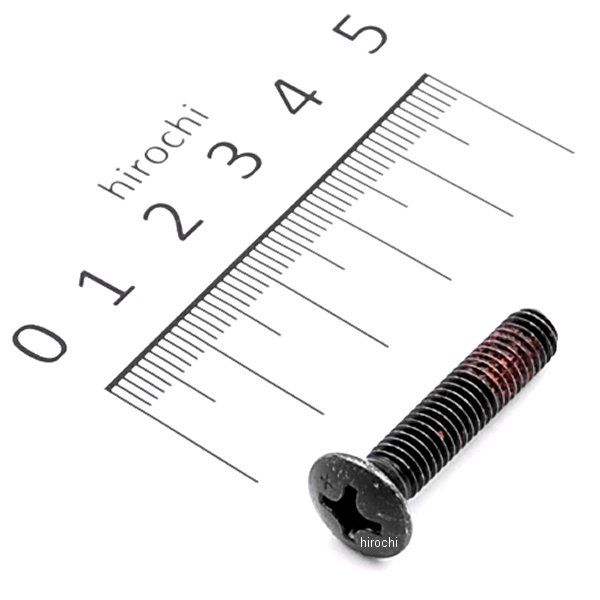 スクリュー オーバル 6×30 90107-GGC-900