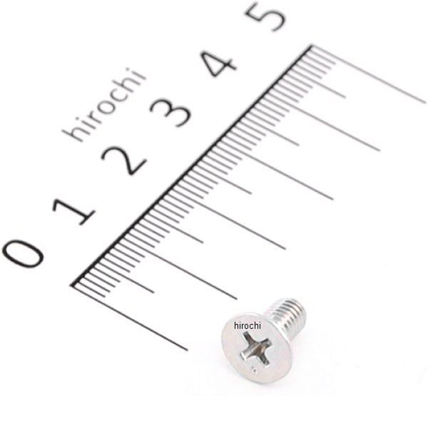 フラットスクリュー 5×10 93600-05010-0A