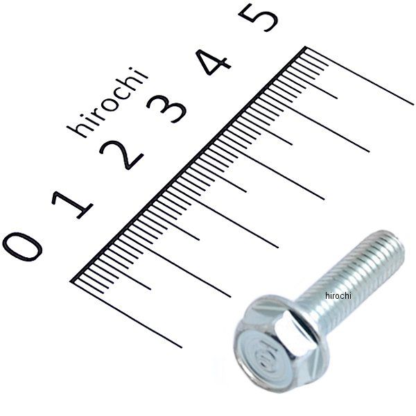 フランジボルト 6×22 95701-06022-00