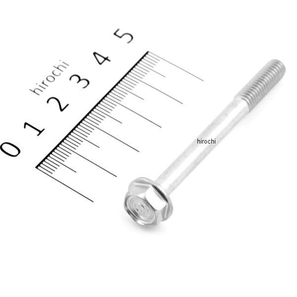 フランジボルト 6×60 95701-06060-00