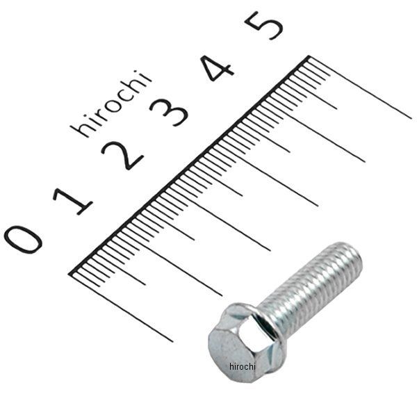 フランジボルト 6×20 96001-0602000