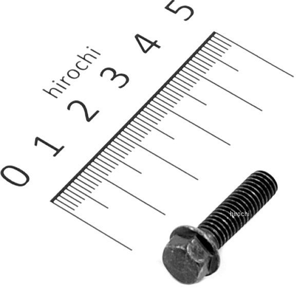 ボルト フランジ 6×22 96001-06022-07