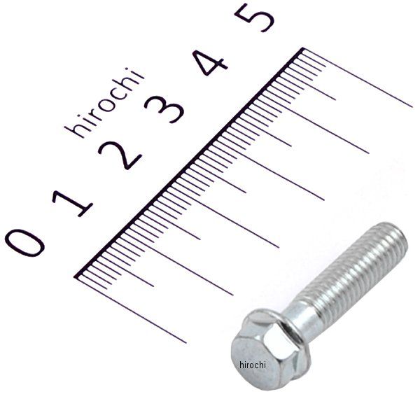 フランジボルト 6×25 96001-0602500