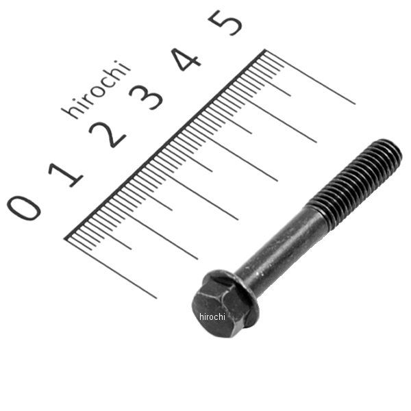 フランジボルト 6×40 96001-0604007