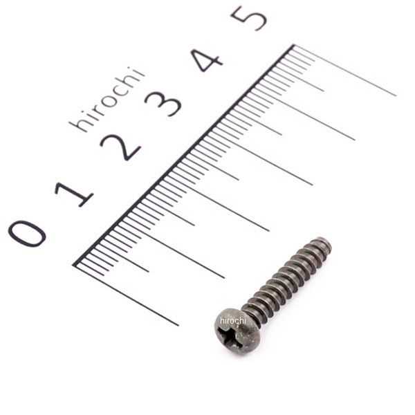 スクリュー PANTAP.2 97707-40520