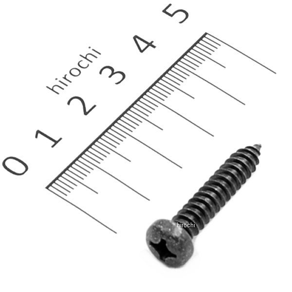 スクリュー PANTAP.4 97707-60130