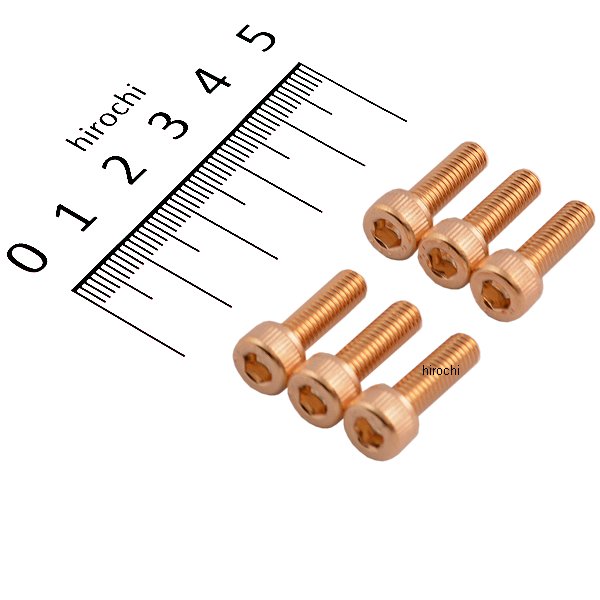 24Kメッキ ステンレス タンクキャップカバーボルトセット M5x16mm