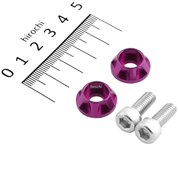 ナンバープレートホルダーセット NASAタイプ 2個入り ブルーベリー