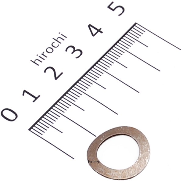 ワッシャー スプリング (1個売り) 6966M