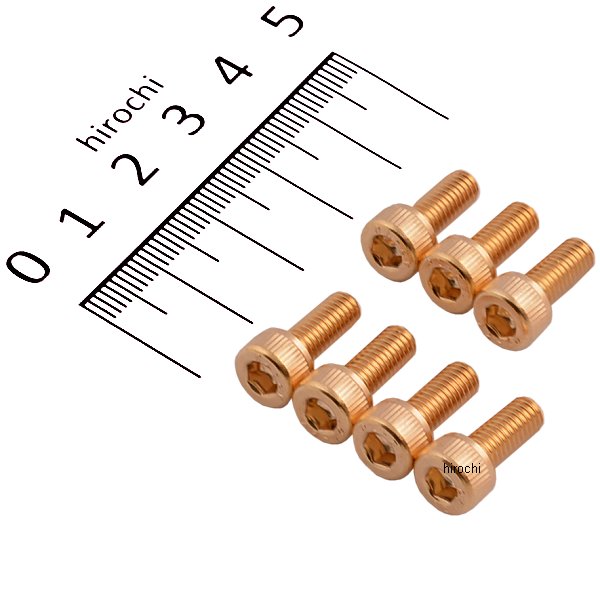 24Kメッキ ステンレス タンクキャップカバーボルトセット カワサキ M5x12mm