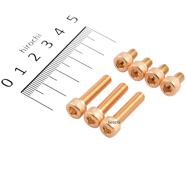 24Kメッキ ステンレス タンクキャップカバーボルトセット M5x8mm