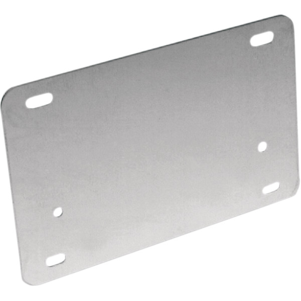 ナンバープレート バックプレート クローム