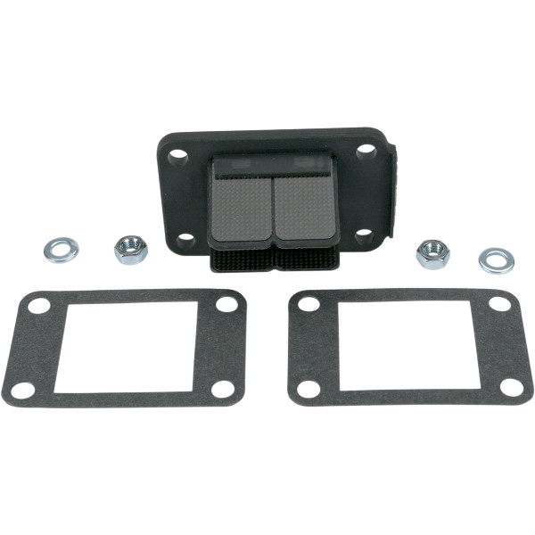 モト タシナリ Moto Tassinari リードバルブ VFORCE3 02年-04年 KTM 50 SX Pro カーボン