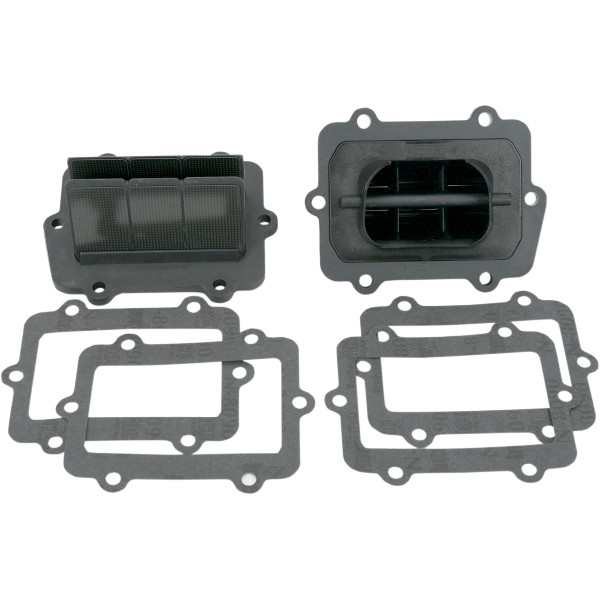 V-Force 3 リードバルブ ポラリス ツイン