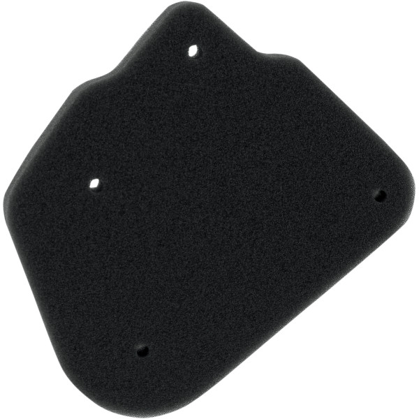 エアフィルター 89年-09年 CW50、YW50