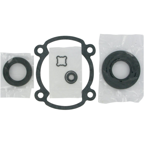 コンプリートガスケットセット Ski-Doo FC シングル 250cc