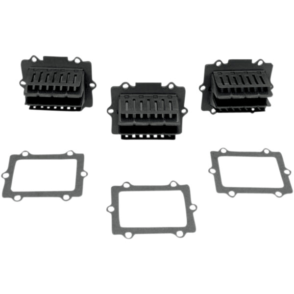 V-Force 3 リードバルブ ポラリス トリプル