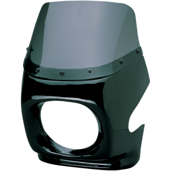 GPスポーツ フェアリング ラージボディ 丸穴