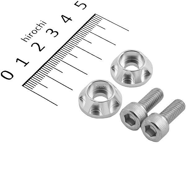 ナンバープレートホルダーセット NASAタイプ 2個入り シルバー