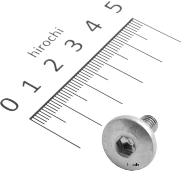 スクリュー パン 6×13 エイプ100 APE100 HC-130/140/150 90112-GCM-900