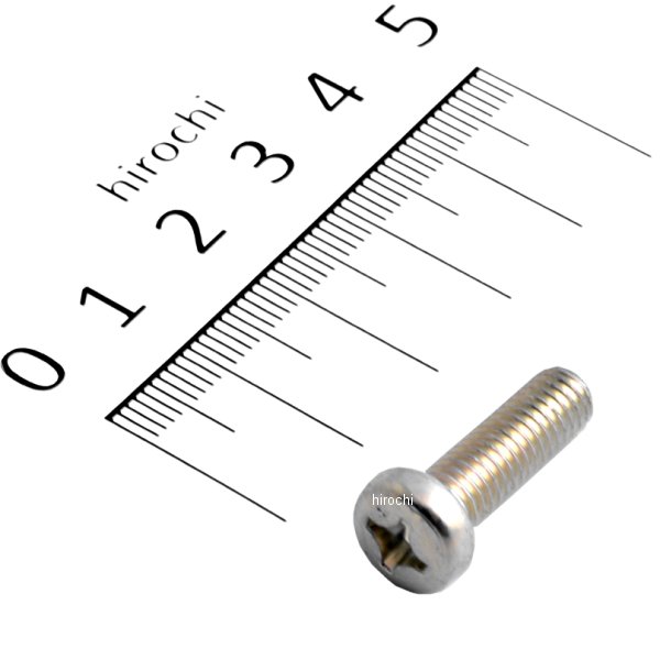 パンスクリュー 6×20 93500-060200A