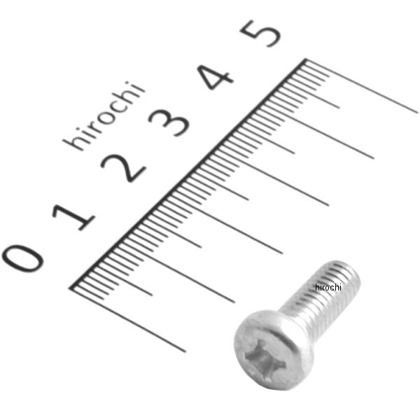 パンスクリュー 6×16 93500-060160A