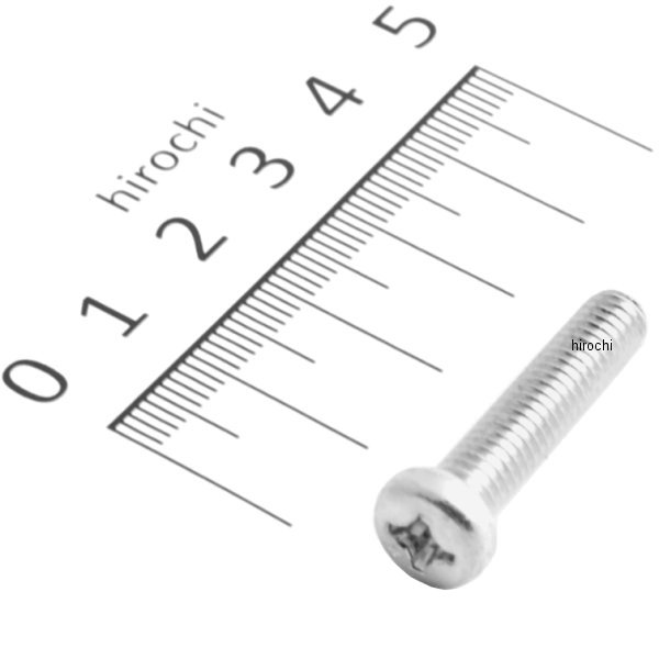 パンスクリュー 6×28 93500-060280A