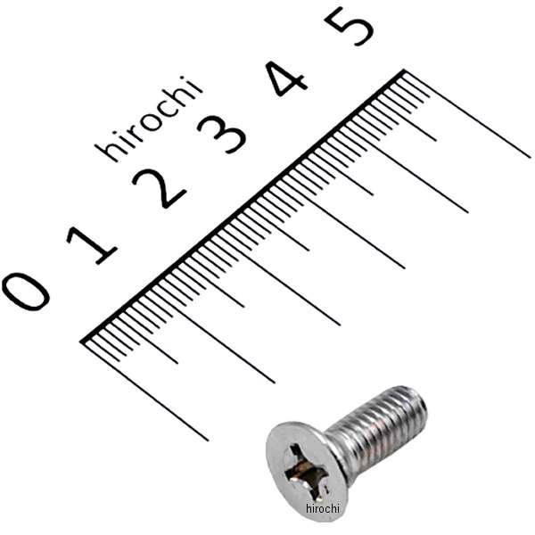 フラットスクリュー 6×16 93600-06016