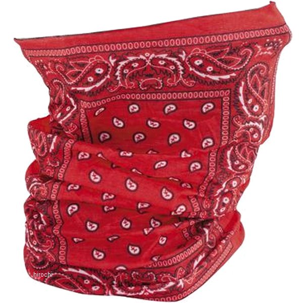 モトリーチューブ レッドペイズリー