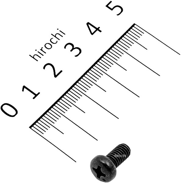 スクリュー パン 5×10 93500-050100G