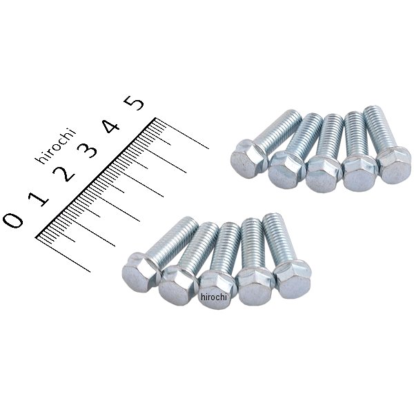 六角ヘッド フランジ ボルト M6 x 1.0 x 20 8mm (10個入り)