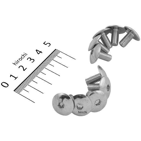 フェアリング ボルト M6 x 1.0 x 12mm (10個入り)