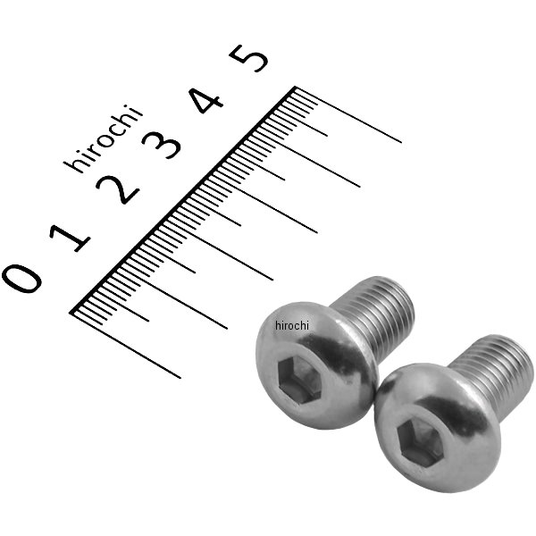 ボタンキャップボルトセット 汎用 M10x15mm P1.25 ステンレス 2本入り