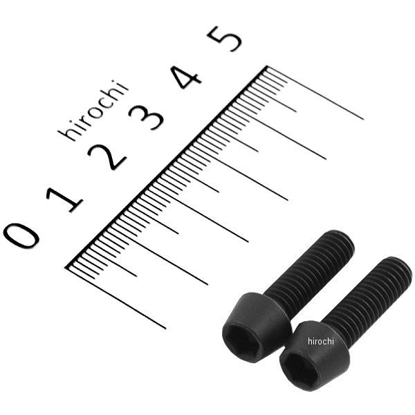 テーパーキャップボルトセット 汎用 M6x20mm P-1.0 ステンレス 2本入り 黒