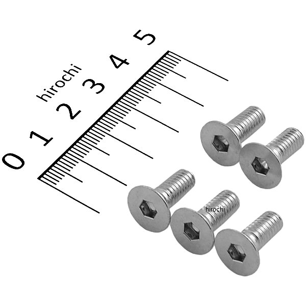 フラッドヘッドスクリュー 6×15