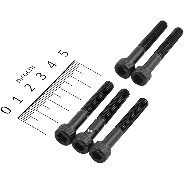 キャップボルトセット 汎用 M6x40mm ステンレス 5本入り 黒