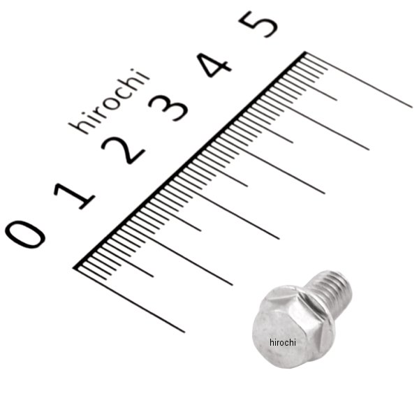 ボルト フランジ 6×10 96001-06010-00