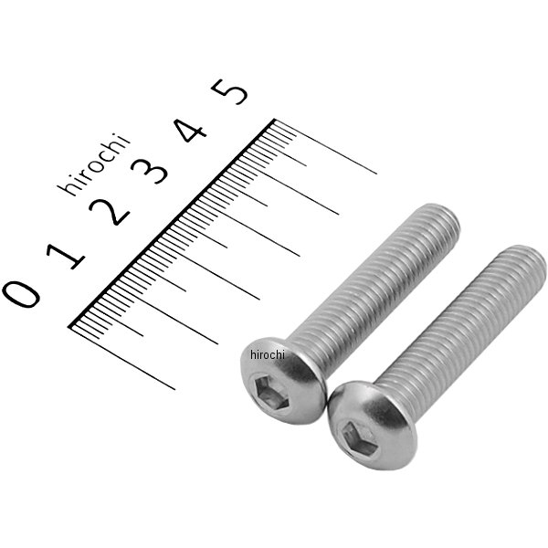 ボタンキャップボルトセット 汎用 M8x40mm ステンレス 2本入り
