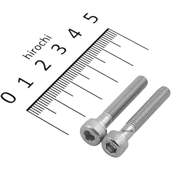 キャップボルトセット 汎用 M5x30mm ステンレス 2本入り