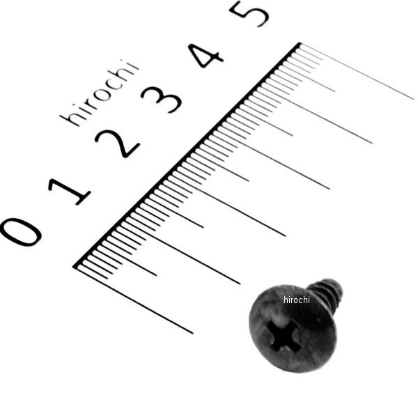 スクリュー タッピング 5×12 93903-25280