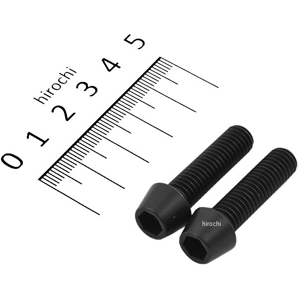 テーパーキャップボルトセット 汎用 M8x30mm P-1.25 ステンレス 2本入り 黒