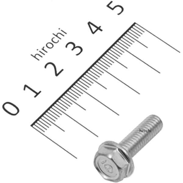 フランジボルト 6×20 95701-0602000