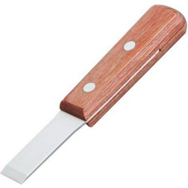 ステンレススクレーパーショート