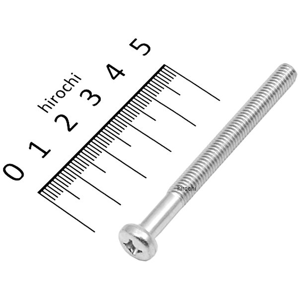 パンスクリュー 6×65 93500-060650A