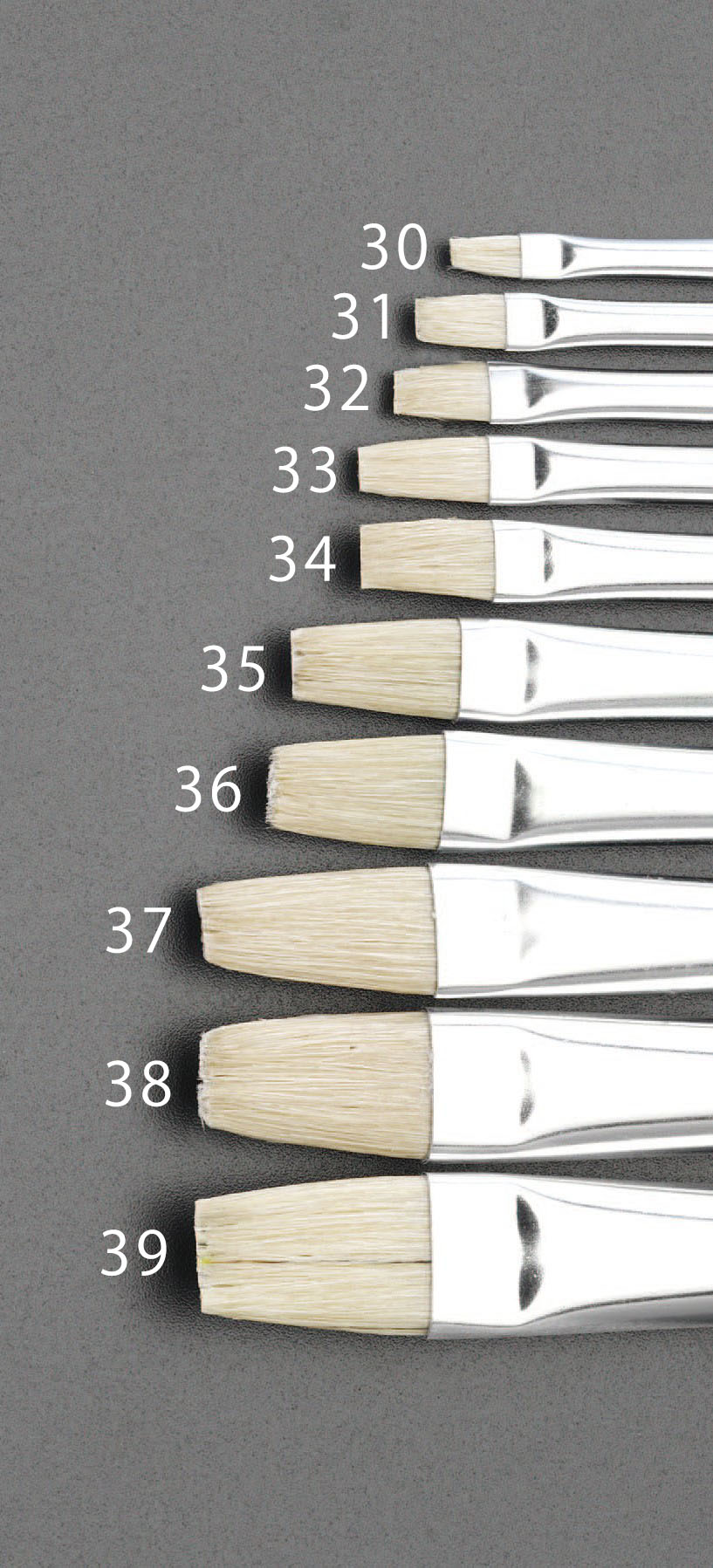 8号 画 筆(白豚毛)