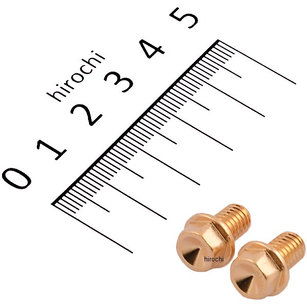 スモールフランジ六角ボルト 24Kメッキ M6x10 P1.0 2本入り