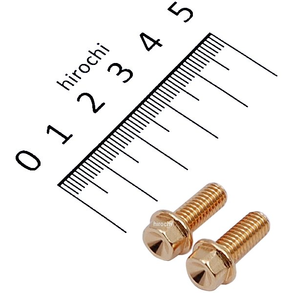 スモールフランジ六角ボルト 24Kメッキ M6x15 P1.0 2本入り