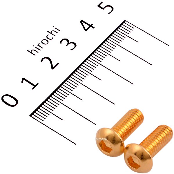 SUS304 六角穴付きボタンキャップボルト M6x15 P1.0 24Kメッキ