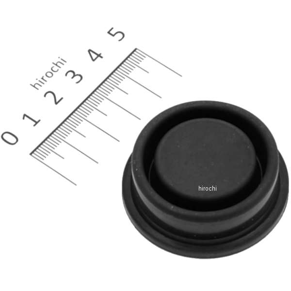 ダイヤフラム 45520-300-000